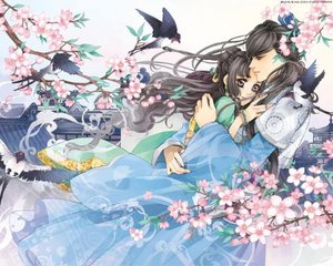 本站永久域名妖精